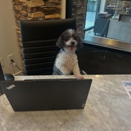 Instagram post from @tapestrybrentwood on July 17, 2025 00:00:00am